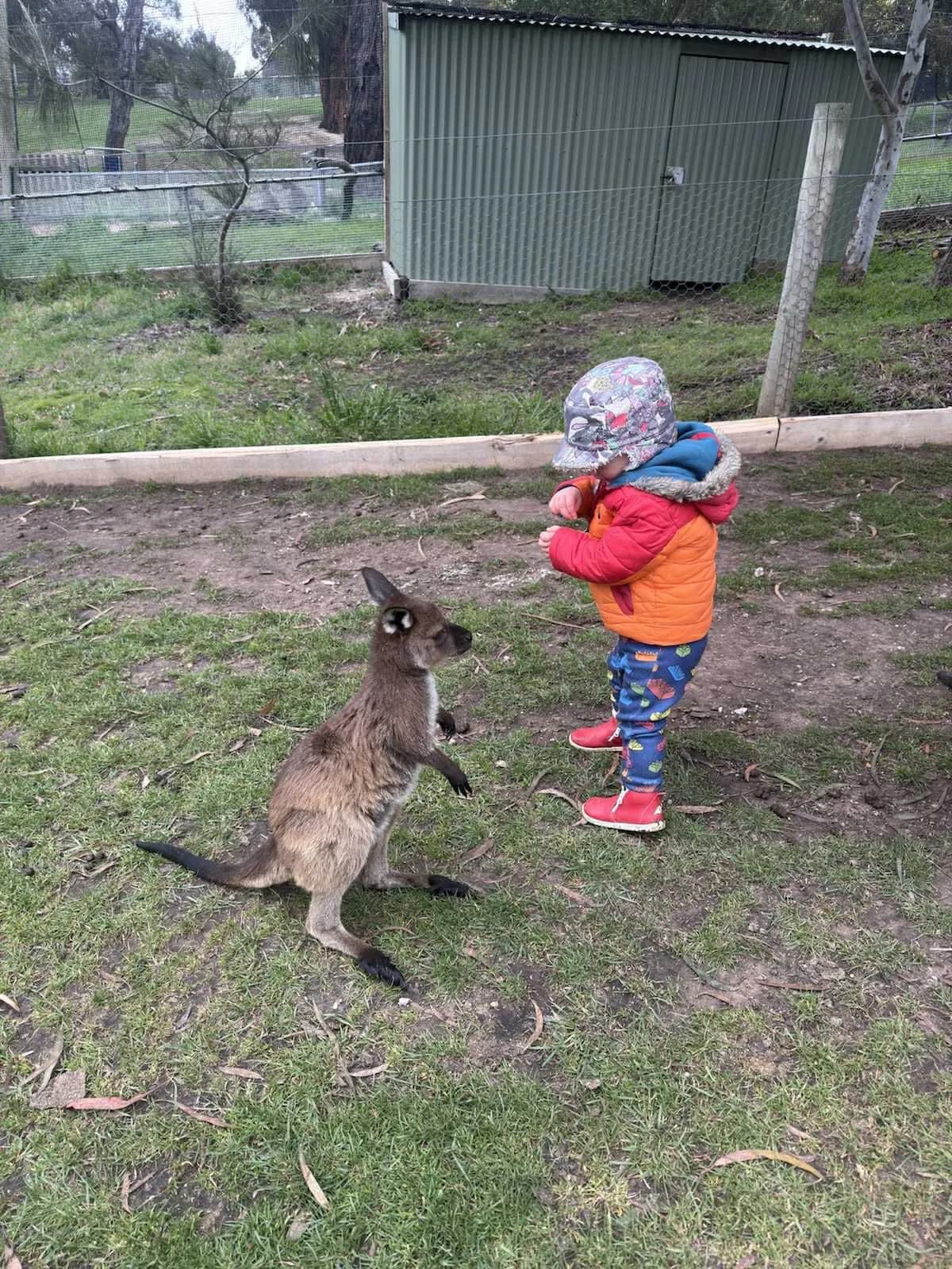 Happy customer with Koluwin colouring book