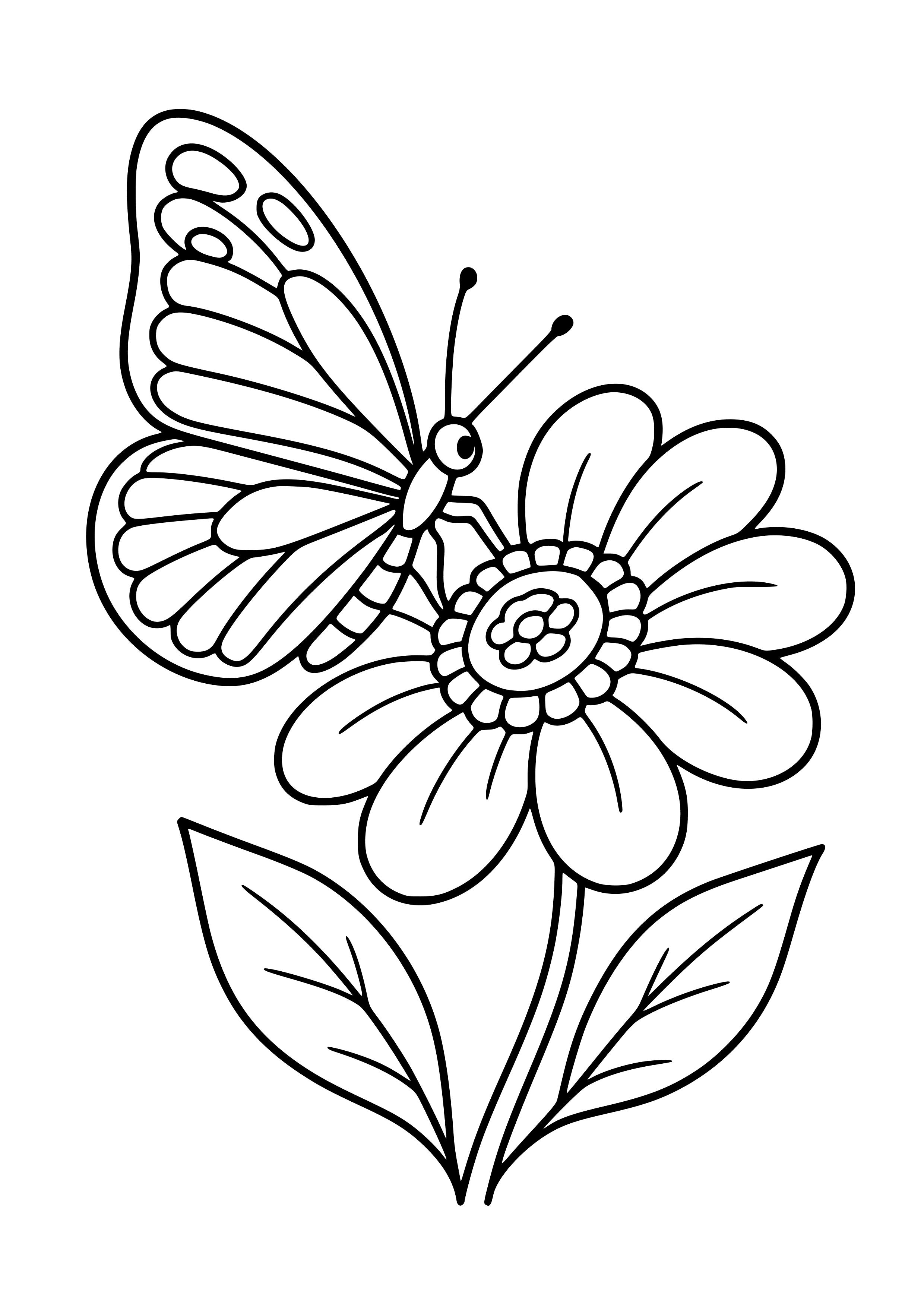 Beautiful Butterfly on a Flower Coloring Page