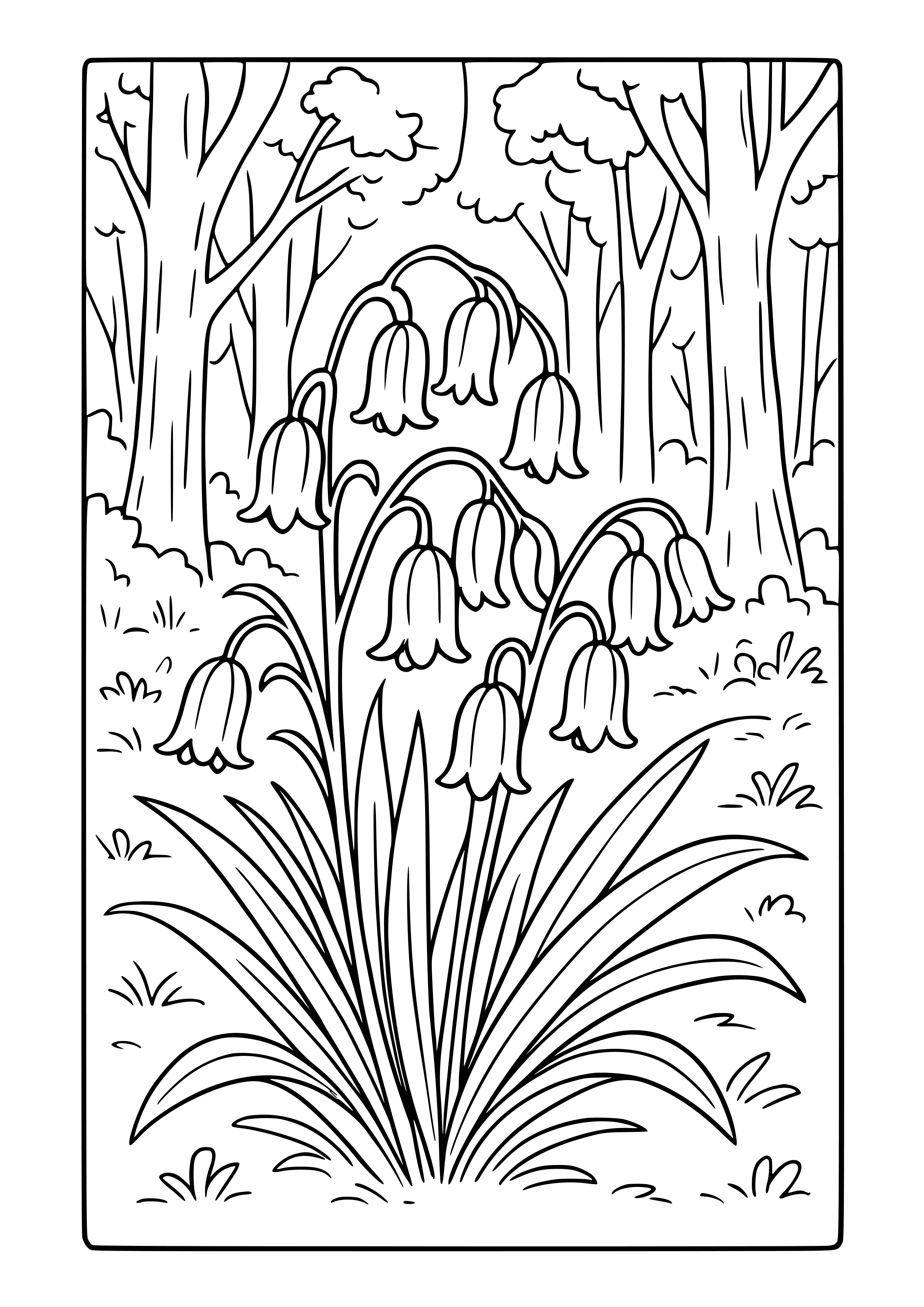 Bluebells in a Woodland Coloring Page