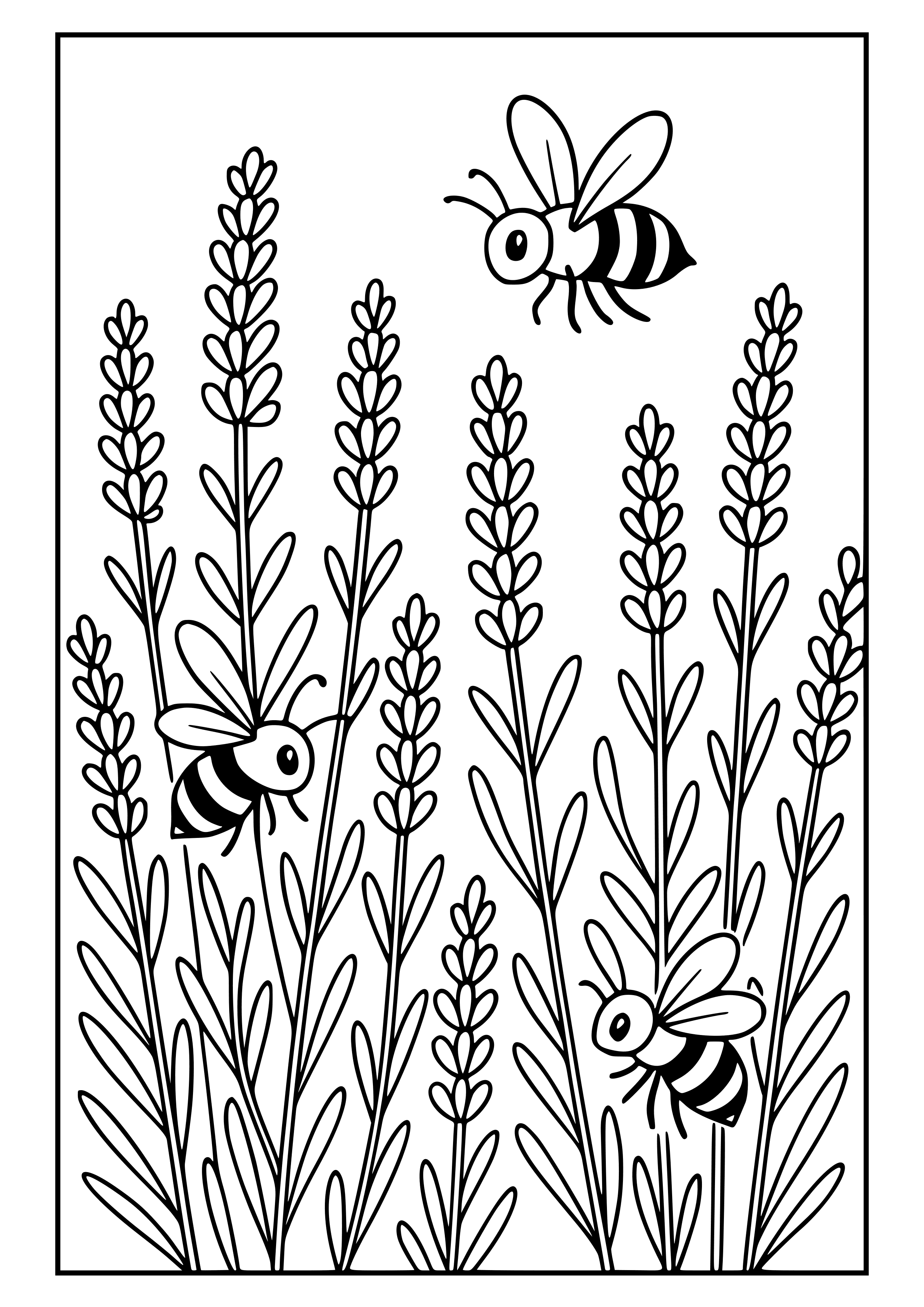 Field of Lavender with Bees Coloring Page