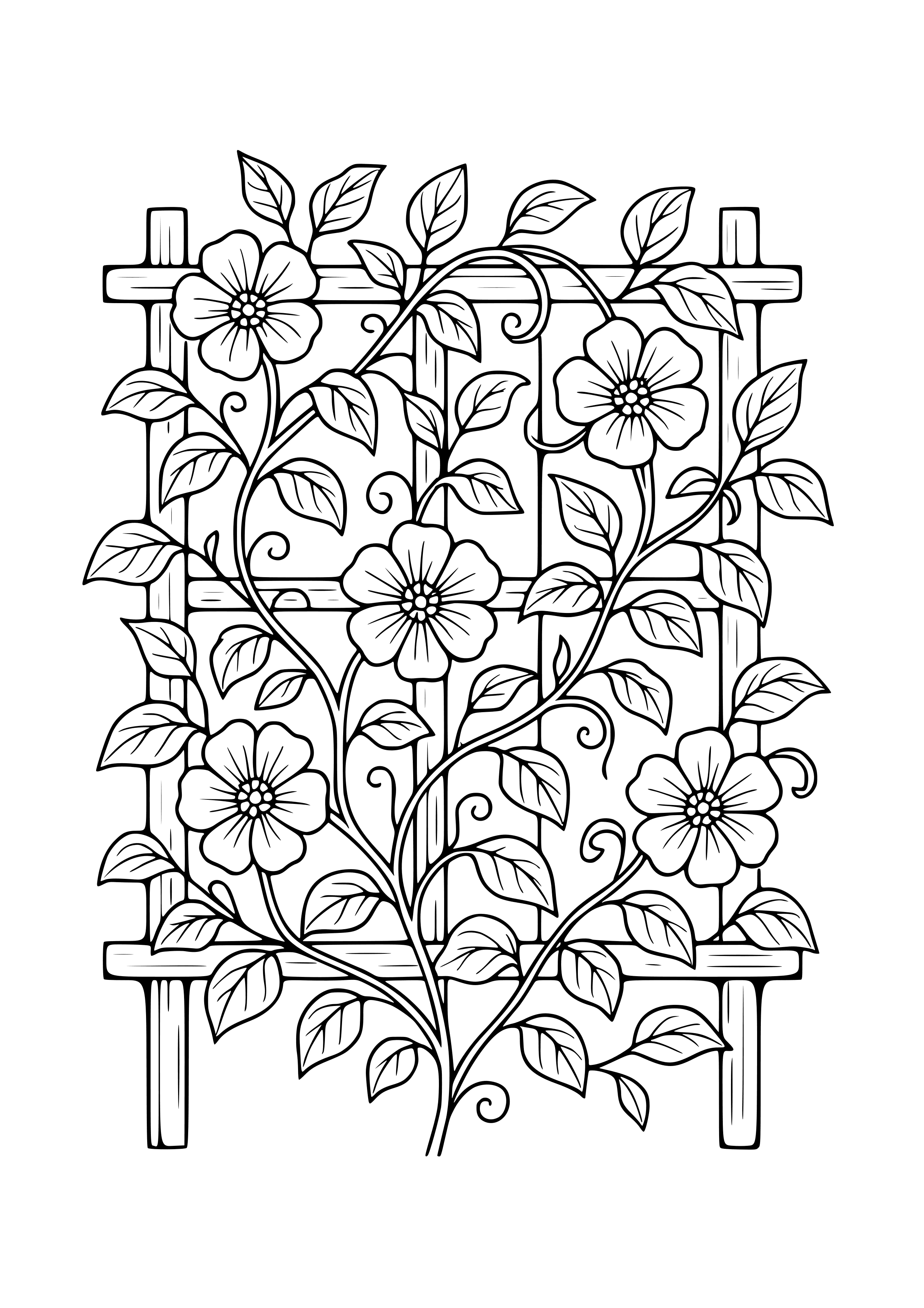 Flowering Vines Climbing a Trellis Coloring Page