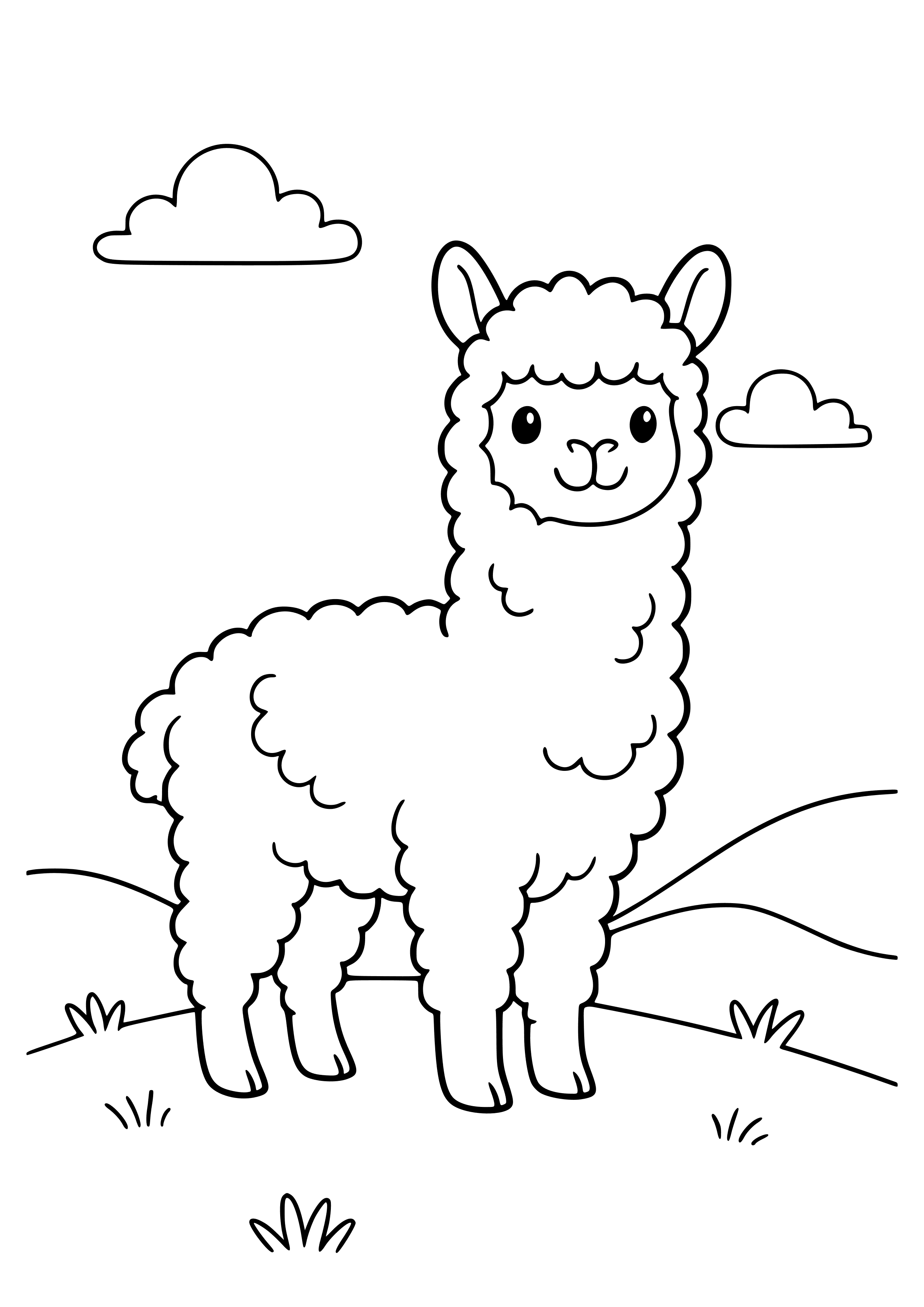 Fluffy Alpaca Standing on a Hillside Coloring Page