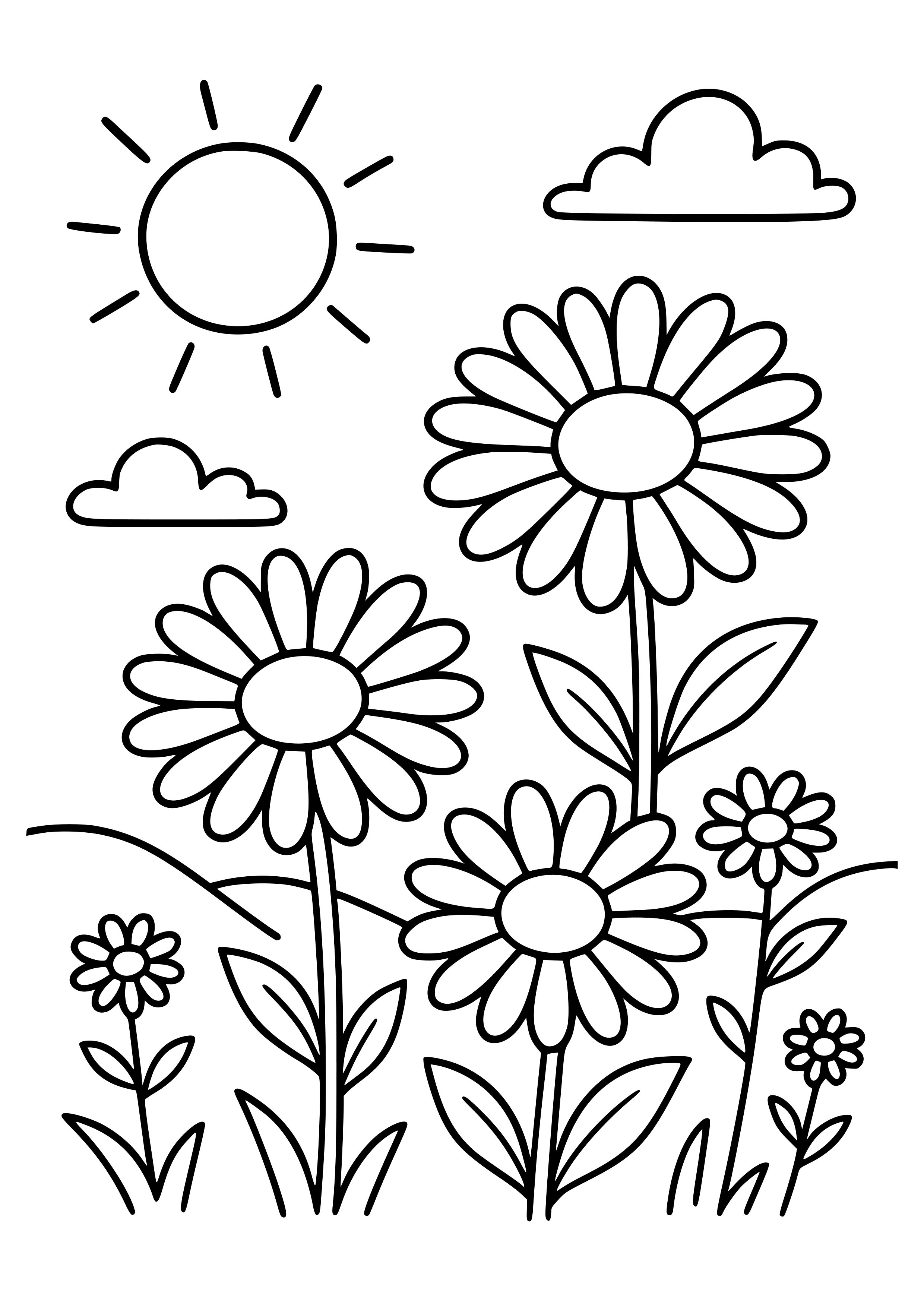 Gerbera Daisies in a Sunny Field Coloring Page