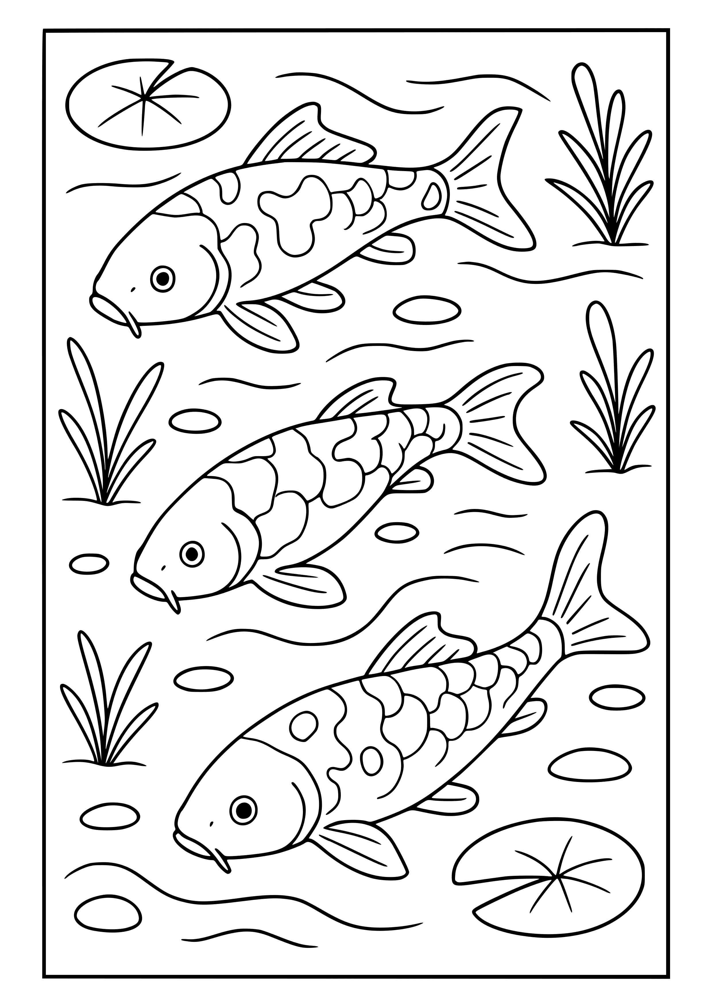 Koi Fish Swimming in a Pond Coloring Page