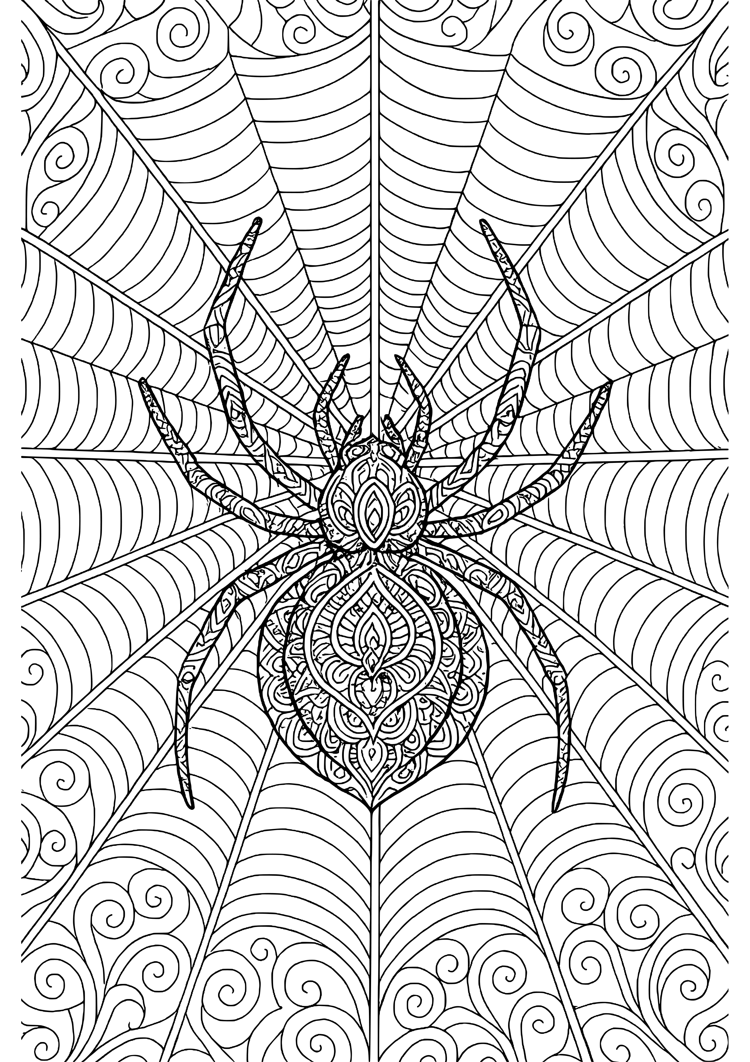 Spider Web with a Big Spider in the Center Coloring Page